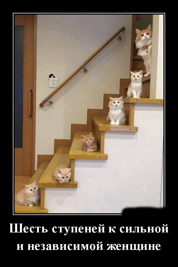 Podborka luchshikh demotivatorov 518 035